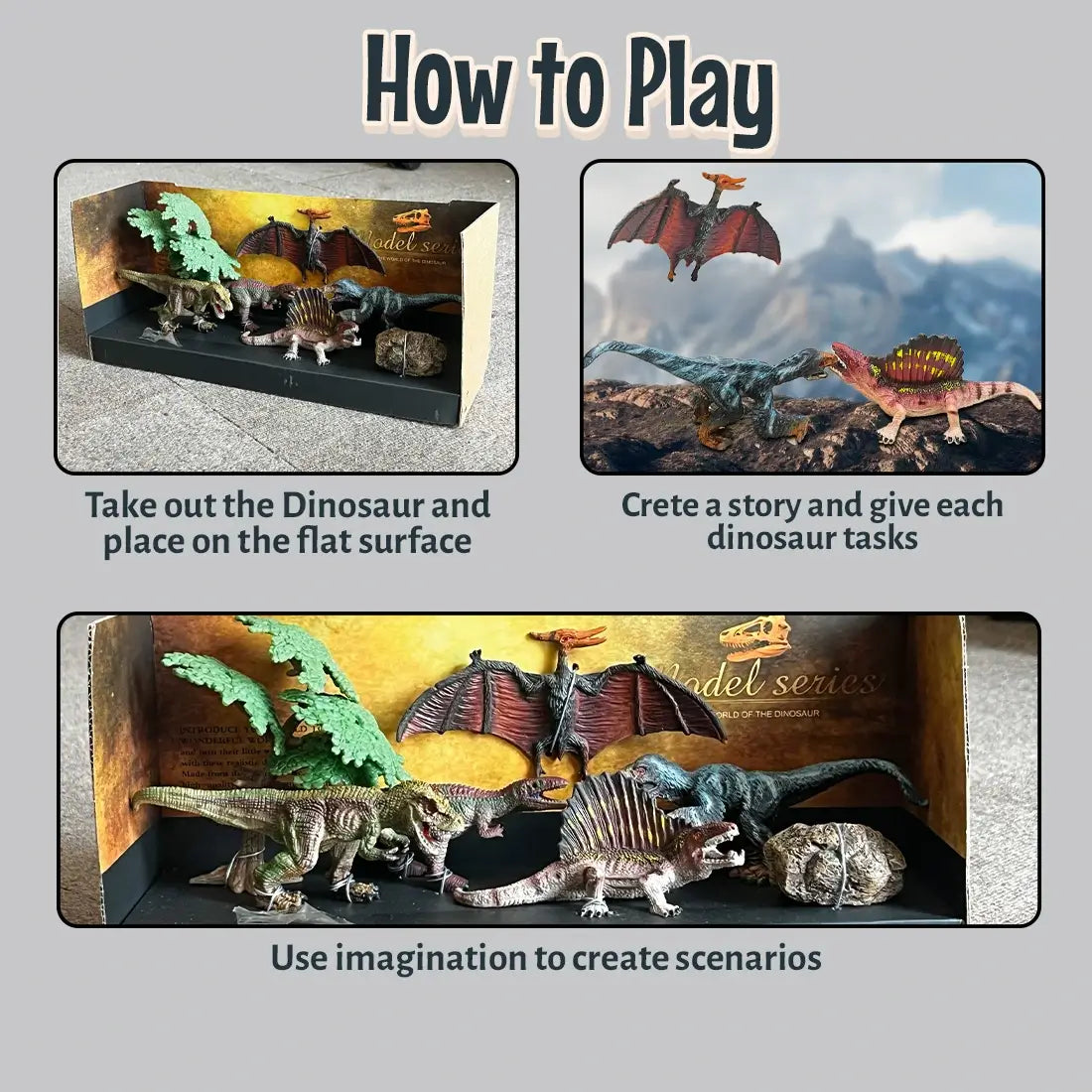 Dinosaur Model Series